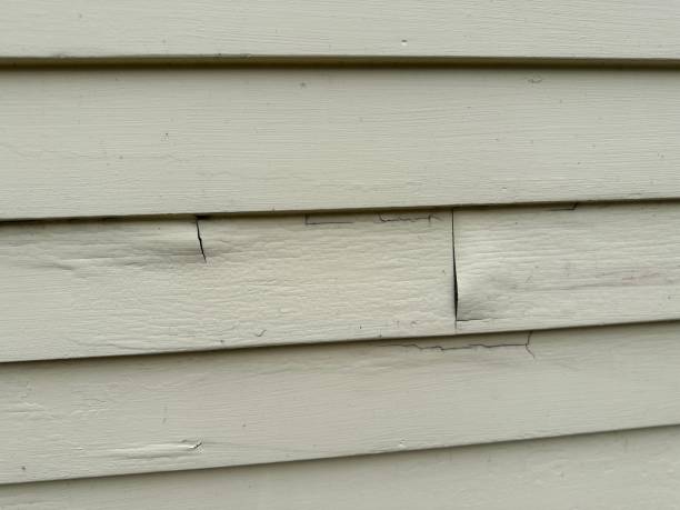 Best Siding Removal and Disposal  in San Benito, TX